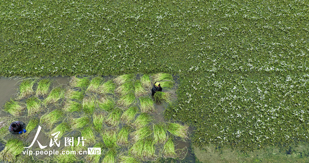 ���պ���������ˮ�۲�